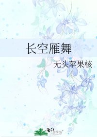 《長空雁舞》